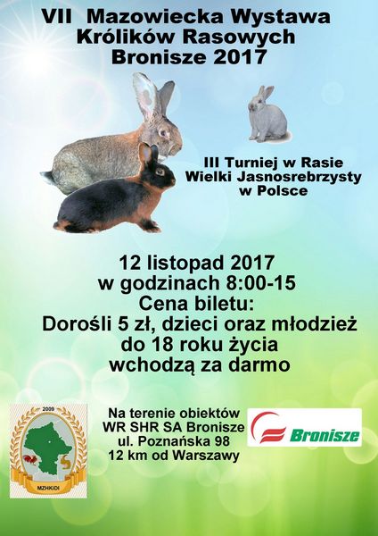 Plakat Bronisz 12.11.2017.jpg