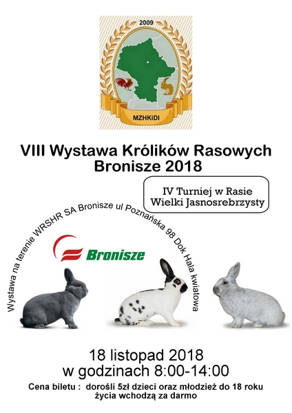 Plakat Bronisz 2018 forum.jpg